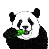 plppublishing logo